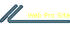 Web Pro Site